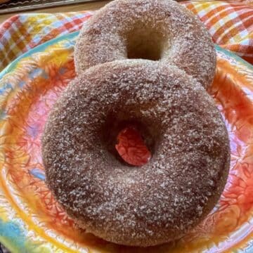 apple cider donuts on an orange plate