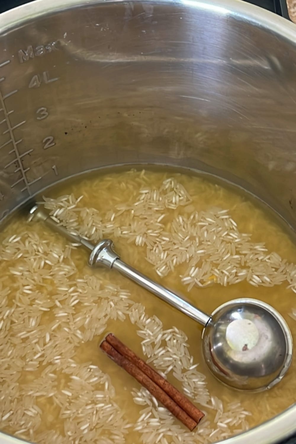 pot of water and rice with cinnamon stick and tea ball filled with spices