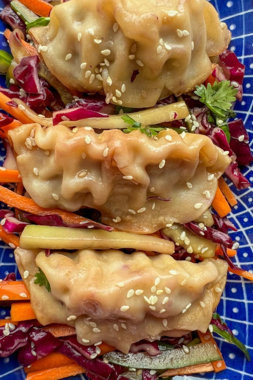 Asian Dumpling Salad 