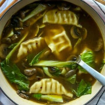 Bowl of potsticker soup