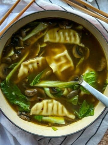 Bowl of potsticker soup